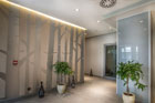 SPA & Wellness